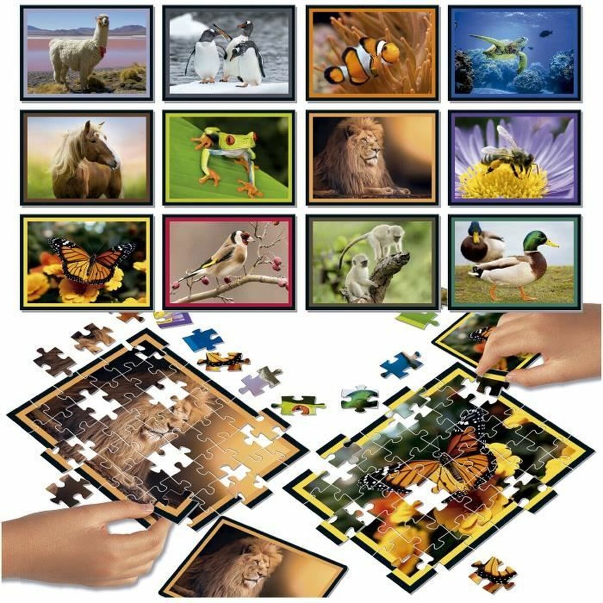 Educa Puzzle Educa Battle Jr Natura 42 Stücke (12 Stück)