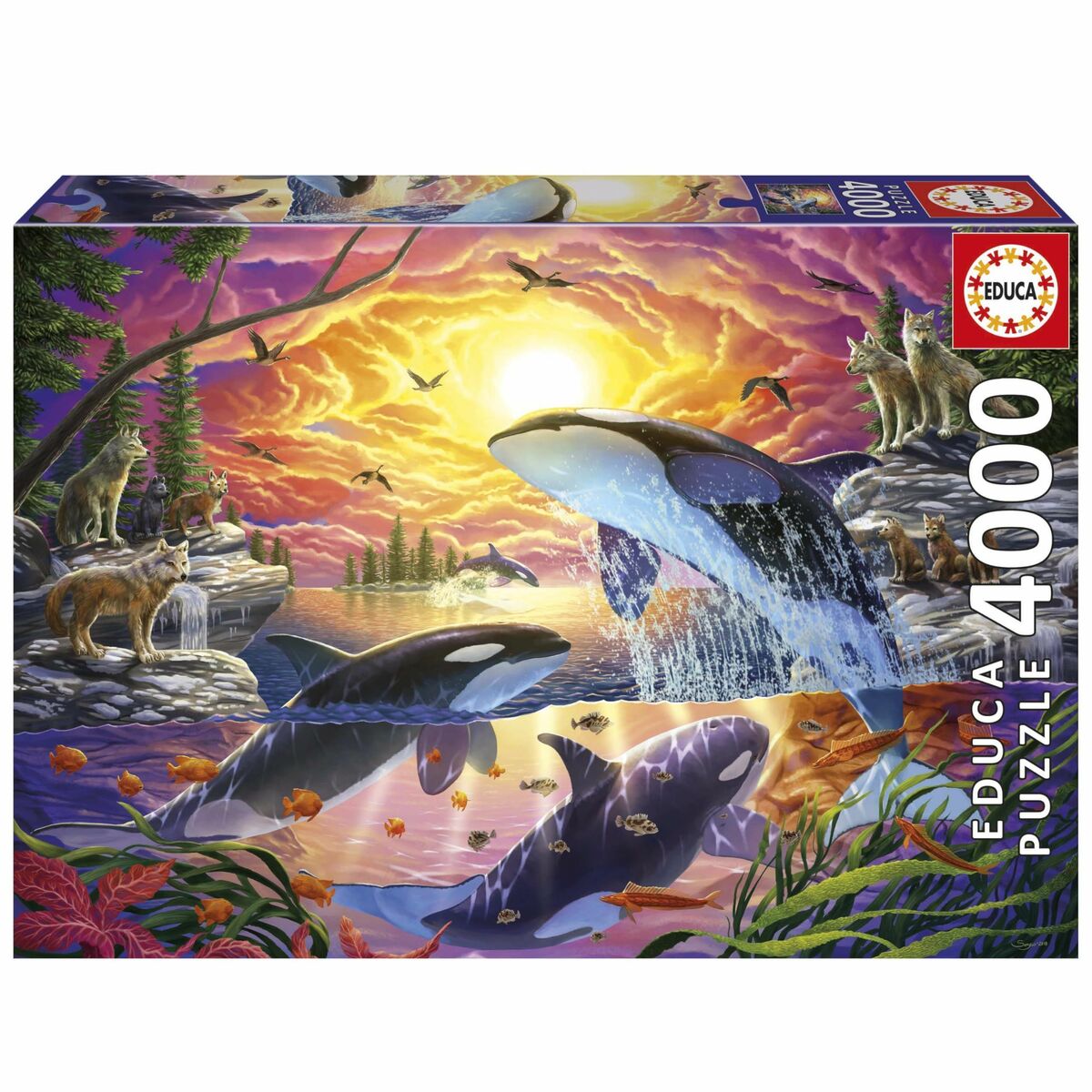 Educa Puzzle Educa Orcas Y Lobos 4000 Stücke