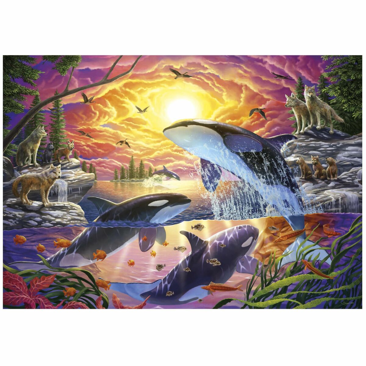 Educa Puzzle Educa Orcas Y Lobos 4000 Stücke