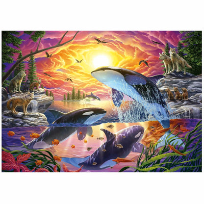 Educa Puzzle Educa Orcas Y Lobos 4000 Stücke